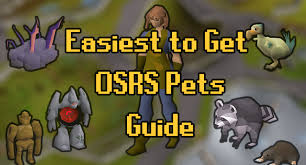 Sorry for the long guide. 7 Easiest Pets To Get On Osrs Probemas