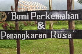 Hasil gambar untuk foto wisata bandung selatan ciwidey