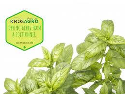 How to dispose of soil from garden. How To Dispose Of Potting Soil The Best Way