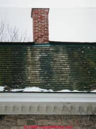A roof may develop different types of algae, lichens, and fungi as bacteria take over. White Stains On Roof Surfaces How To Diagnose Remove White Staining Or Deposits On Various Roof Types