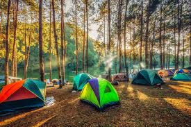 Almost all of them are. 11 Of The Best Camping Apps Pure Leisure Blog