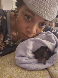 Love this handsome Boy so much … Lava Man is at Old Friends with our Lane  Way … 💜🐎🏆💜