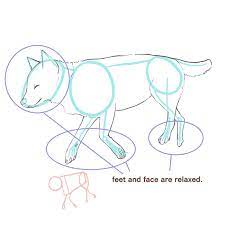 How To Draw A Dog (2) How To Draw The Body And Pose | Medibang Paint - The  Free Digital Painting And Manga Creation Software