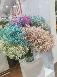 Artificial gypsophila blush peach baby's breath | artificial flowersthree branches bearing fronds of blush peach silk gypsophila on a single brown ste. Where To Buy Bulk Flowers Online For Your Wedding Roses Flowers Gypsophila Wedding Events Bouquets Arra Bulk Flowers Online Gypsophila Babys Breath