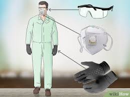 See full list on wikihow.com How To Get Rid Of Boxelder Bugs Outside 9 Steps With Pictures