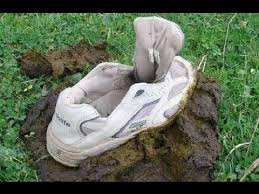 Résultat de recherche d'images pour "гавно"