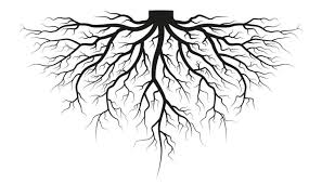 The roots is an american hip hop band, formed in 1987 by tariq black thought trotter and ahmir questlove thompson in philadelphia, pennsylvania, united states. John Blackmon The Root