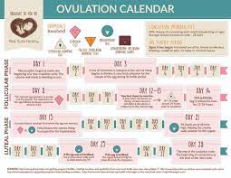 What You Need To Know About Your Ovulation Cycle Infographic