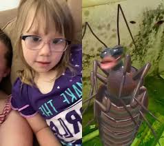 Miranda Collison (@mirandacollison5)