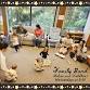 Family Band (Baby and Toddler Music Class) event image