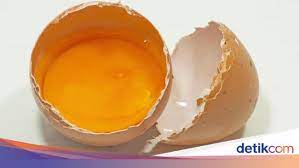 Apa rahasia di balik kandungan gizi telur ayam kampung? Jika Seperti Ini Caranya Makan Telur Justru Bikin Sakit