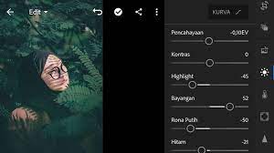 This preset works well with portraits and landscapes as well as other types of images. Rumus Lightroom Dark Moody Green Baconties Com