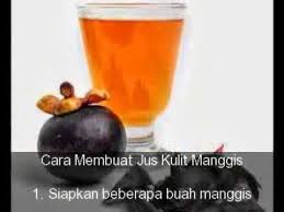 Khasiat dan manfaat buah manggis bagi kesehatan: 13 20 Kulit Manggis Ideas Growing Cilantro Fruits Online Metal Detox