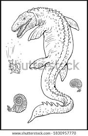 Identify 15 different creatures in these animal coloring sheets. Shutterstock Puzzlepix