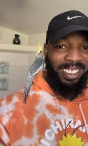 Cockatiels of the Southwest