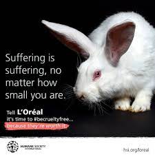 L'oreal paris states on its website, today, l'oreal no longer tests its have not purchased loreal products for 20 years due to their animal testing, i do not. Facebook