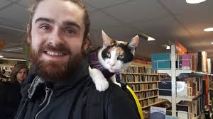 Guy biking across the world finds a kitten he can't leave behind 😻