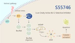 Image result for BCL2 Inhibitor