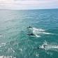 Wilsons Promontory Full Day Cruise event image