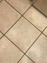 Technical specifications 9 colors 6 sizes technical specifications a. Nicks In Tile And Black Grout So Dirty Picture Of Key Largo Bay Marriott Beach Resort Tripadvisor
