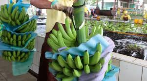 Image captionmany bananas are rejected at luis pareja's plantation in ecuador. Ecuador Exige En La Omc El Retiro De Medidas De Restriccion Impuestas Por Brasil Al Banano Ecuatoriano El Comercio