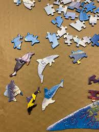 Check spelling or type a new query. Starting A Dolphin Shaped Puzzle With Fun Marine Shaped Pieces Jigsawpuzzles