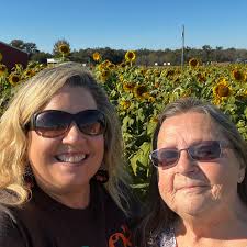 Ignite box plane for grading and driveway maintenance