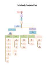 organizational chart 01 davita camelot organizational