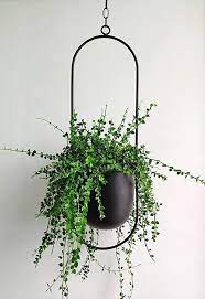 Try these 50 outdoor hanging planter ideas that i listed in this article and create an unique design for your own. Amazon Com Riseon Boho Black Metal Plant Hanger Metal Wall And Ceiling Hanging Planter Modern Plant Metal Plant Hangers Metal Hanging Planters Hanging Plants