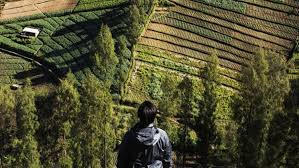 Di tempat tersebut, para wisatawan bisa menikmati segarnya sumber air murni sembari berenang di sekitar danau tersebut. Tempat Instagrammable Di Malang Dan Sekitarnya Yang Membuatmu Semakin Jatuh Cinta Dengan Kota Apel Ini