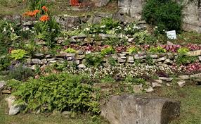12 vivaces sans entretien qui fleurissent tout l ete jardinage. Quelles Plantes Sur Un Talus Avec Une Pente