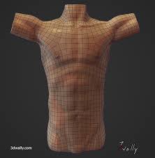 Learn more here you are seeing a 360° image instead. Male Torso Sculpt On Behance