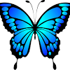 Https Encrypted Tbn0 Gstatic Com Images Q Tbn And9gctsv5fuhfph0qhsrmjzlmqqnj9knhyj4kh2tgasevw Usqp Cau