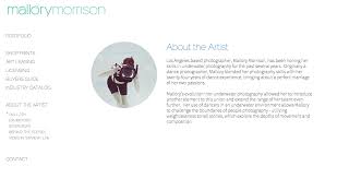 Look up some artist profile examples from artists in your field, and try to pick out some descriptive words that you like, that explain your art, and that are understandable to laypeople. Write The Perfect Artist Bio With These Five Simple Tips Society6 Blog