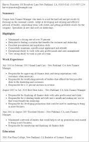 Crafting a auto finance manager resume. Auto Finance Manager Templates Myperfectresume