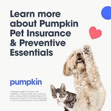 Pet insurance pays, partly or in total, for veterinary treatment of the insured person's ill or injured pet. Pet Insurance In West Orange Nj West Orange Animal Hospital