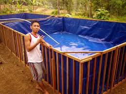 Raja Muda Lele Cara Membuat Kolam Terpal