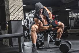 push pull legs routine the ultimate