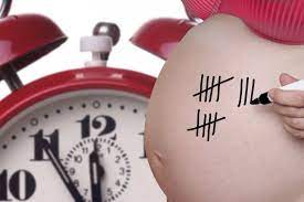 Образуйте предложения в präsens ( подсказка : Die Berechnung Des Entbindungstermins Mamiweb De