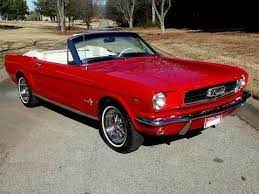 Pin On Mustangs There Tuff