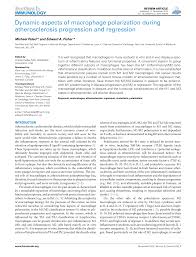 Dynamic aspects of macrophage polarization during atherosclerosis  progression and regression