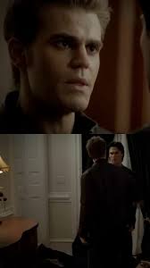 Stefan and Damon's Brotherly Relationship in The Vampire Diaries