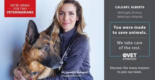 More images for 24 hour pet hospital calgary » Lorenza Malaguti Hospital Medical Director And Emergency Veterinary Doctor At The Mcknight Veterinary Hospital Vetstrategy Linkedin