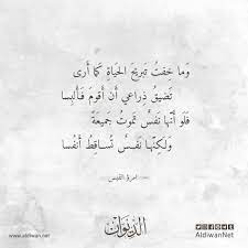 وما خفت تبريح الحياة كما أرى math equations math arabic calligraphy