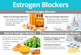 What foods contain estrogen hormones? Estrogen Blockers Shecares