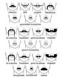Mustache Chart Contains Repetition But Still Interesting