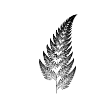 A barnsley fern is a fractal named after british mathematician michael barnsley and can be created using an iterated function system (ifs). Barnsley Ferns Fractal Coolbutuseless