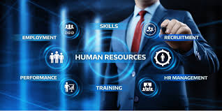 How Can HR Outsourcing Support Small Businesses? | Obsidian HR