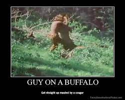 Pin By Kaylee Watson On Makes Me Giggle Funny Songs Best Video Ever Funny