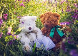 A good start to the day would make the wife cheerful and her day brighten up with lovely moments. 2 143 Romantic Teddy Bears Photos Free Royalty Free Stock Photos From Dreamstime